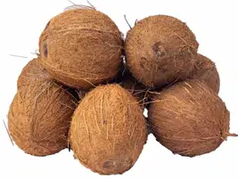 Coconut